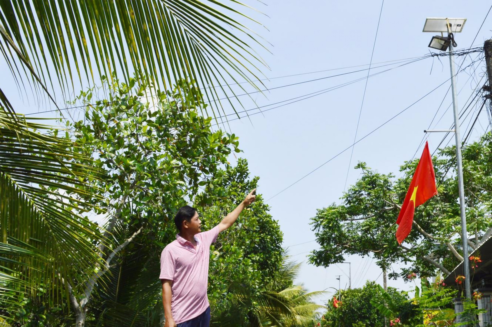 Đèn năng lượng mặt trời thắp sáng đường quê Trà Vinh